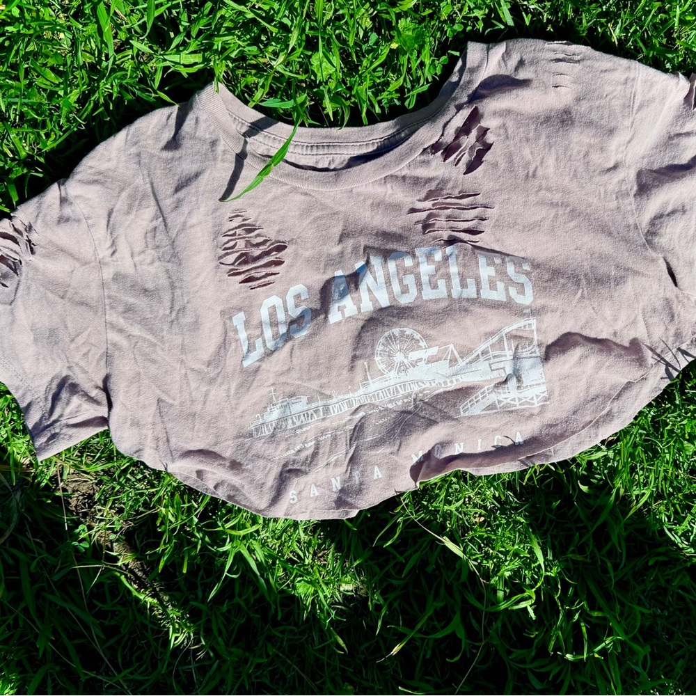 10 listings for $10 🛍️ Distressed Los Angeles Santa Monica Pier Crop Top T-Shirt